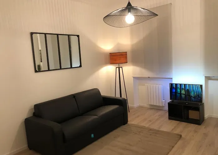 Cosy Appartement 48M Strasbourg Centre Et Gare A Pied Proche Musee D Art Moderne Wifi 4 Personnes