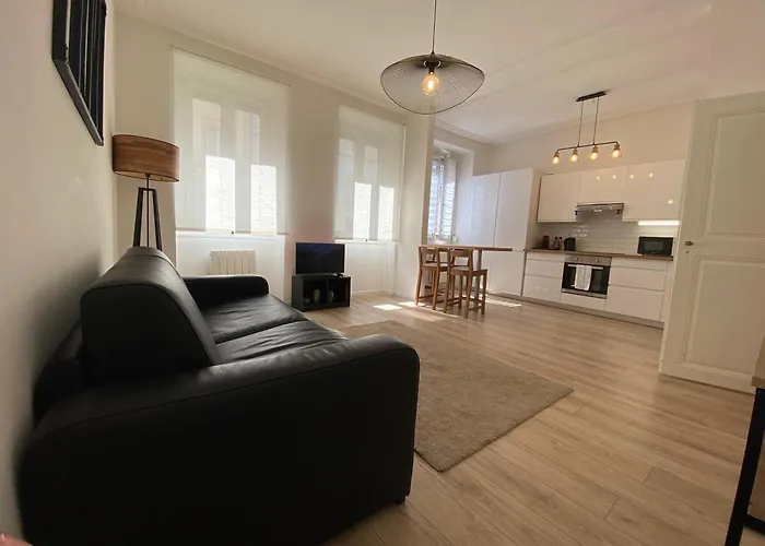 Cosy Appartement 48M Strasbourg Centre Et Gare A Pied Proche Musee D Art Moderne Wifi 4 Personnes