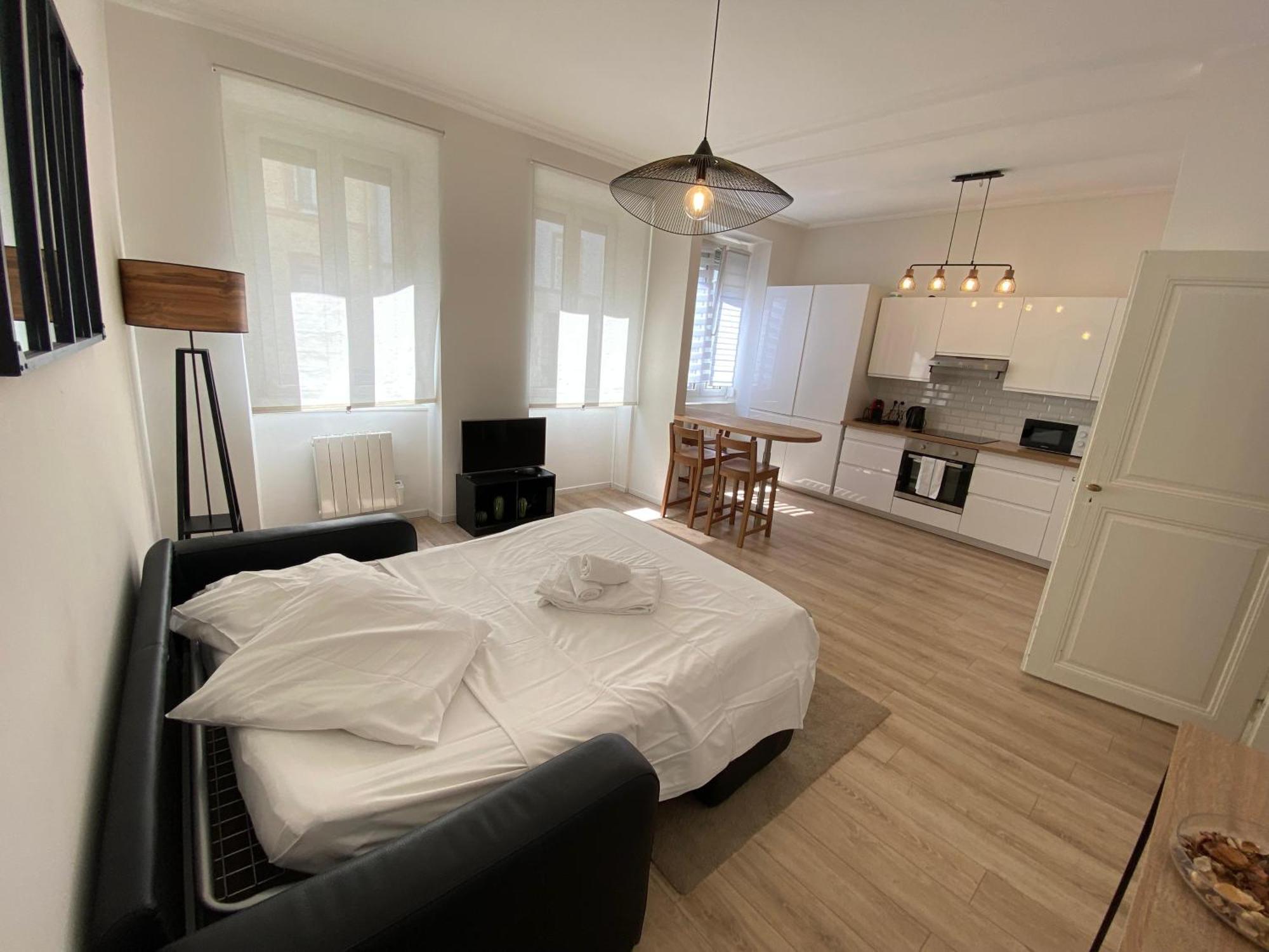 Cosy 48m Centre Et Gare A Pied Proche Musee D Art Moderne Wifi 4 Personnes Apartment Straßburg